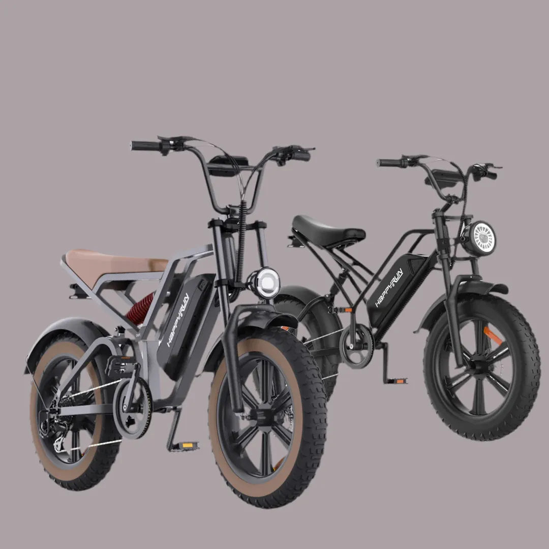 HRG50-USA Happy Run 750W Electric Bicycle