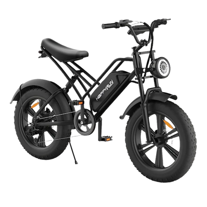 HRG50-USA Happy Run 750W Electric Bicycle