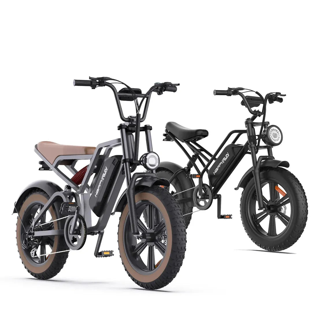 HRG50-USA Happy Run 750W Electric Bicycle