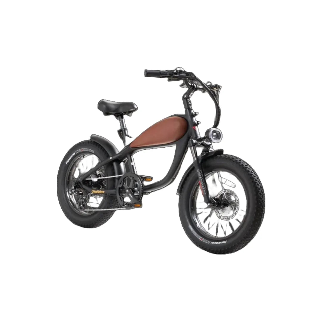 Hybrid electric bike REVIBIKES® Cheetah Mini with 20-inch tires, aluminum alloy frame, and LCD display.